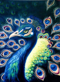 Midnight_Peacock - Shawn Hawkin's Art